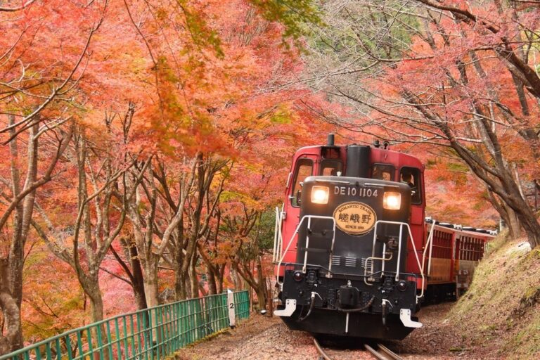 リッチ号で行く嵐山！紅葉嵯峨野トロッコ列車