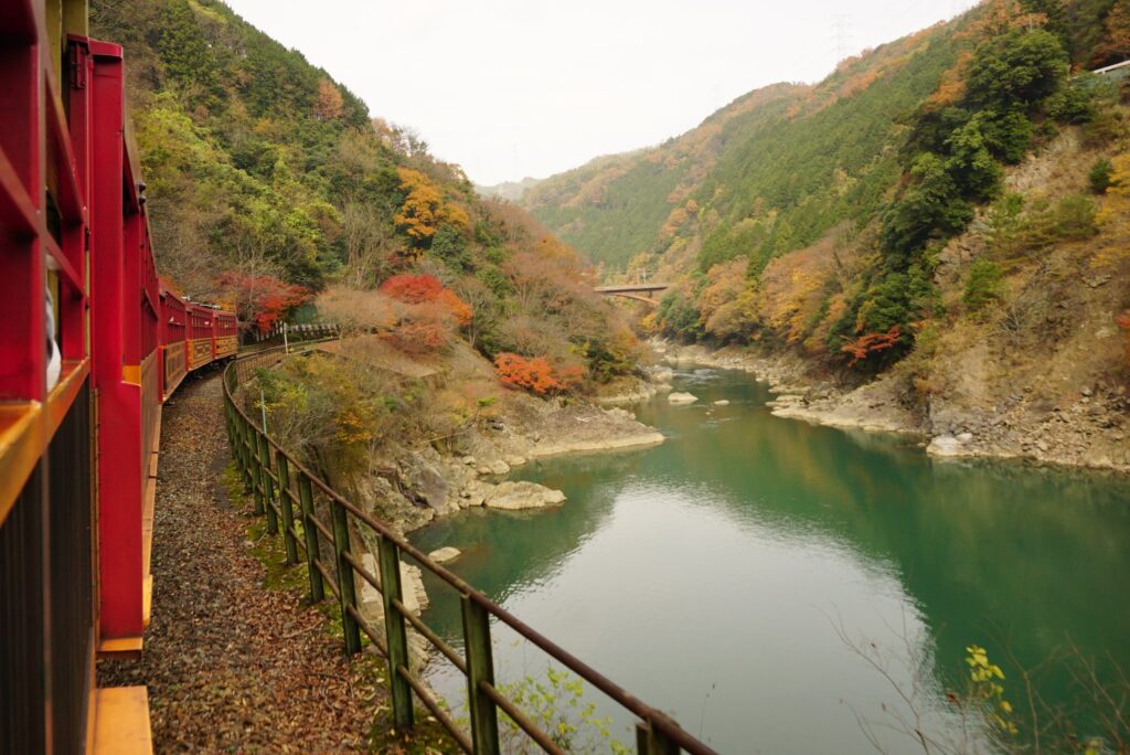 リッチ号で行く嵐山！紅葉嵯峨野トロッコ列車